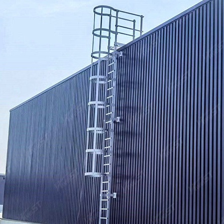 Protective ladder