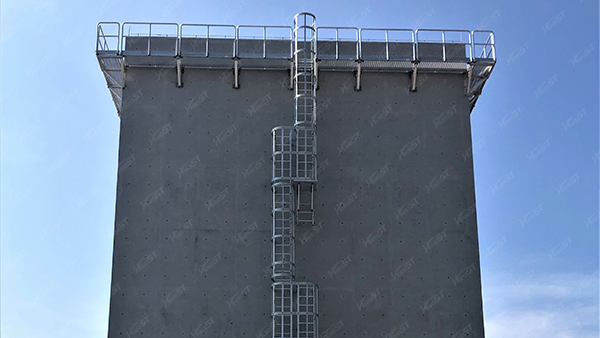 Protective ladder